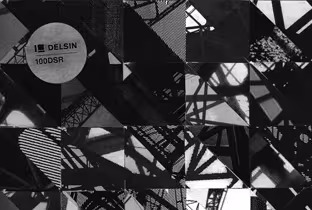 delsin-100.jpg