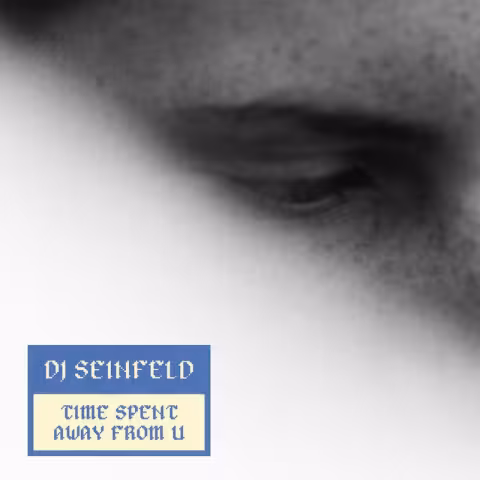 djseinfeld_albumartwork.jpg