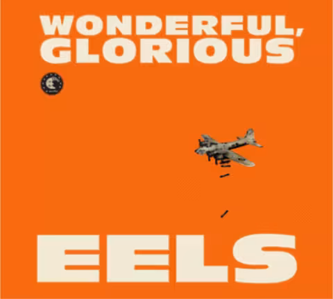 eels_album_102212.png