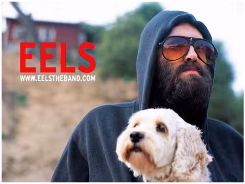 eels_background.jpg