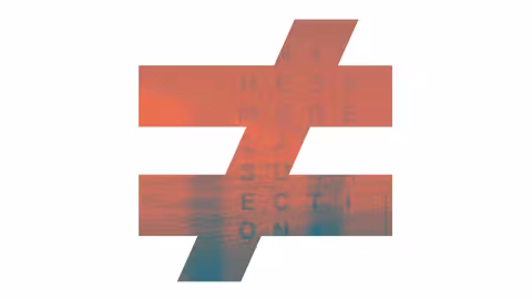 fauve1.png