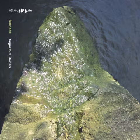 fennesz_sognato_di_domani.jpg