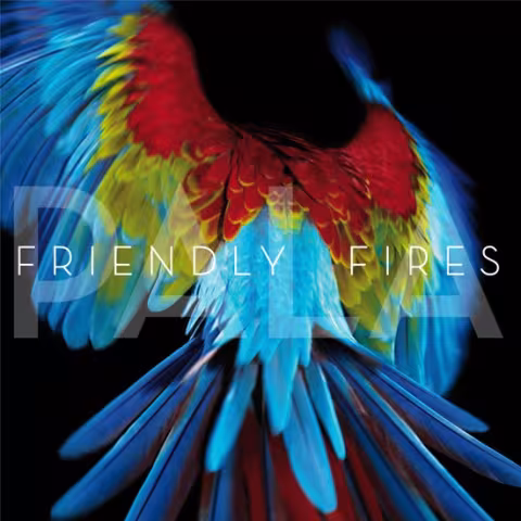 friendlyfires-pala.jpg
