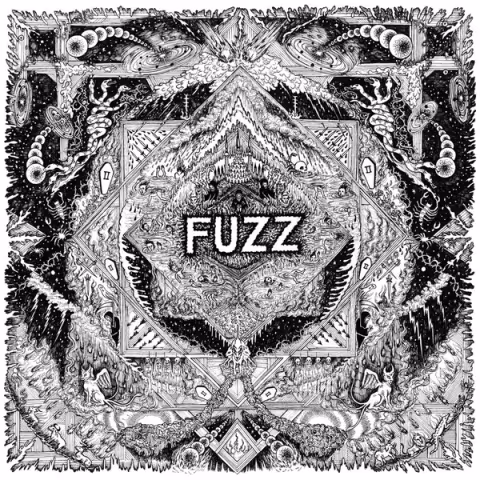 fuzzII.jpg