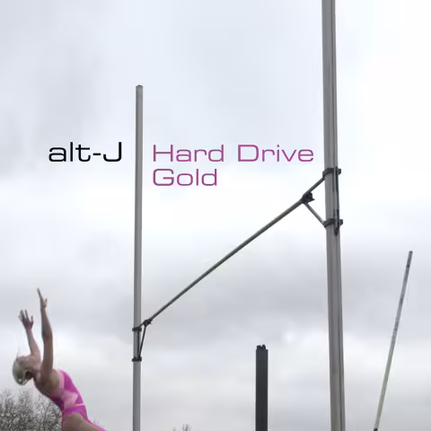 harddrivegold.png