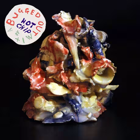hot_chip_bugged_out.jpg