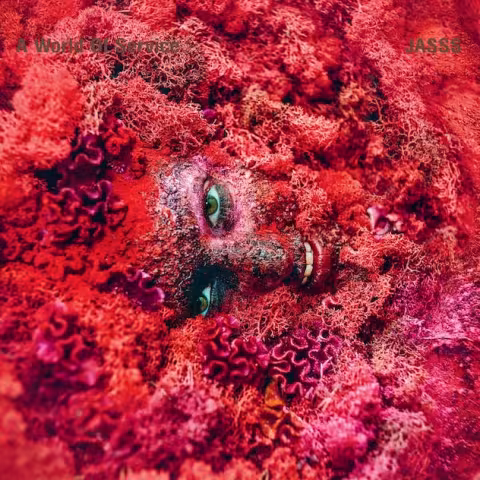 jasss-album-art.jpg