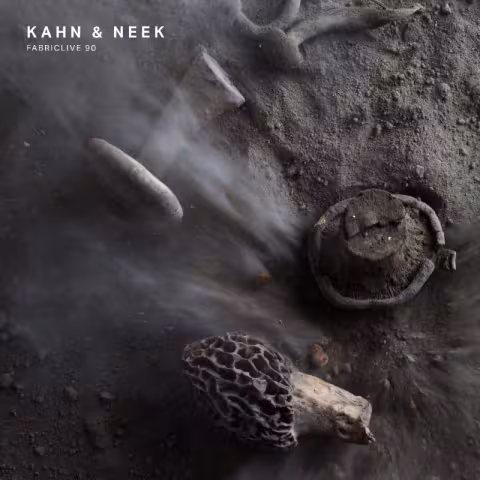 kahn-neek-fabriclive-90_01.jpg