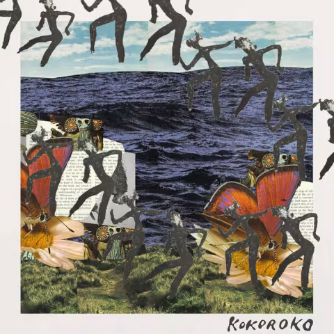 kokoroko.jpg