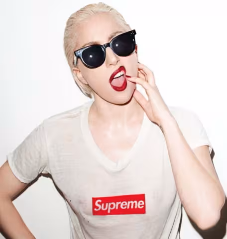 lady-gaga-terry-richardson-supreme1-560x589.jpg