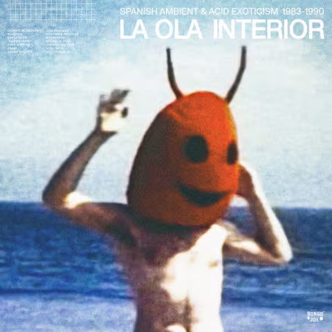 laolainterior.jpg
