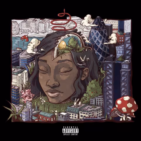 little-simz-stillness-in-wonderland.jpg