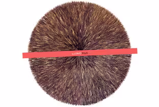 luomo-plus.jpg