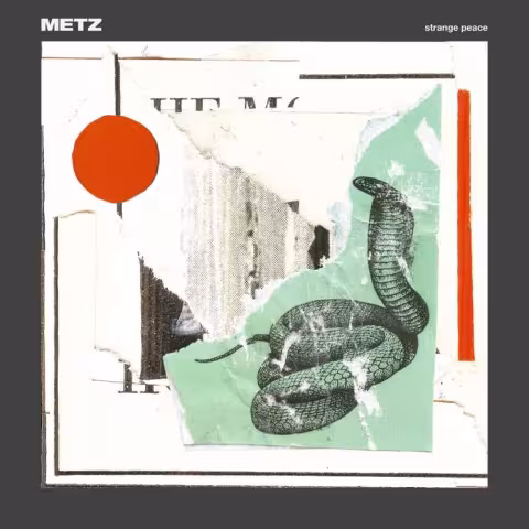metz_3.jpg