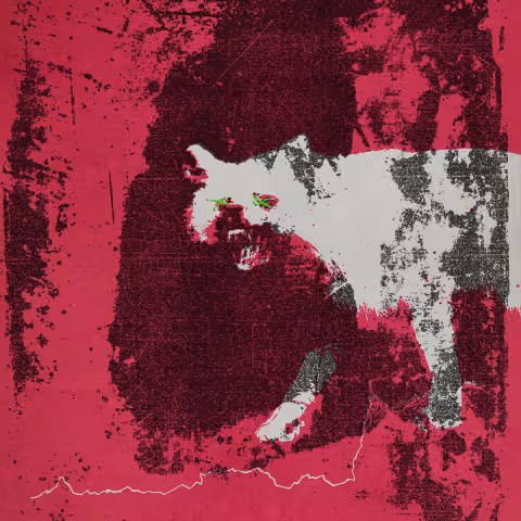 mogwai_take_sides.jpg