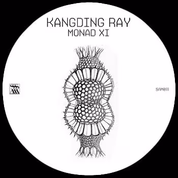 monad350.jpg