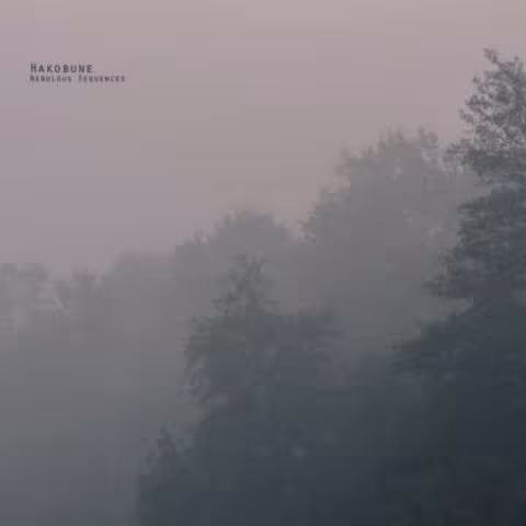 nebulous_sequences_med.8f21e1233a9e43b9677096079112796218.jpg