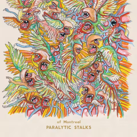 ofmontreal-paralytic-stalks.jpg