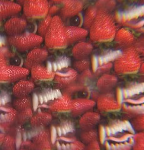ohsees2.jpg