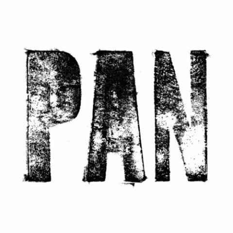 pan_logo.jpg