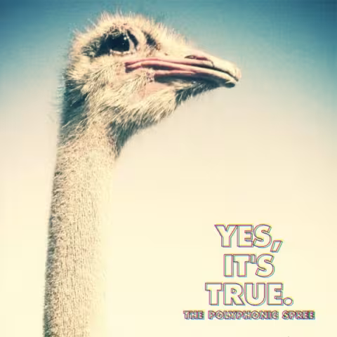 polyphonic-spree-yes-its-true-e1361985201889.jpg