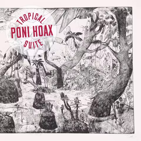 poni_hoax.jpg