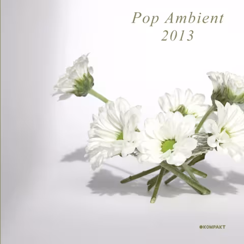 pop_ambient_2013_01.jpg