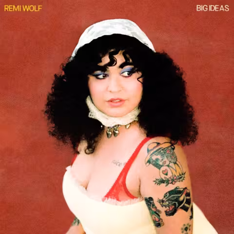 remiwolfbigideasc024.jpg