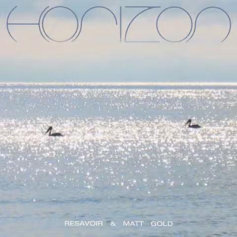 resavoir_matt_gold_horizon.jpg