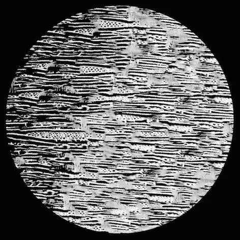 rptch05-stave.jpg