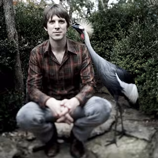 shearwater_03.jpg