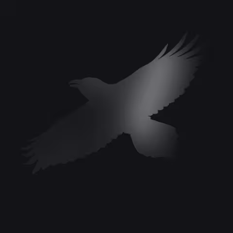 sigur-rosOdins-Raven-Magic.jpg