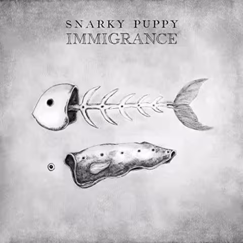 snarky_puppy_immigrance.jpg