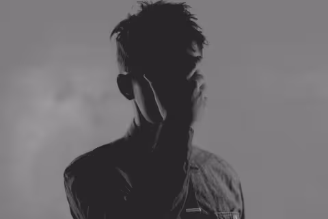 son-lux-2010.jpg
