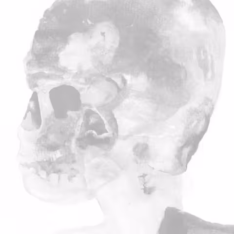 spoon-lp__1_.jpg