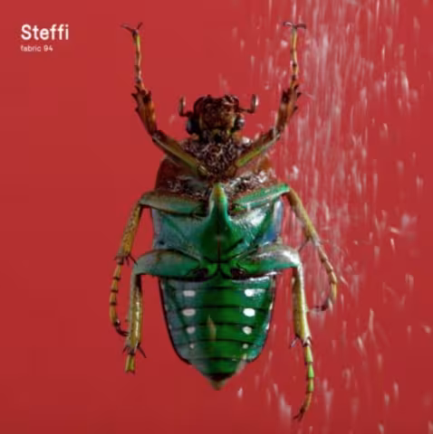 steffi-fabric-94.jpeg