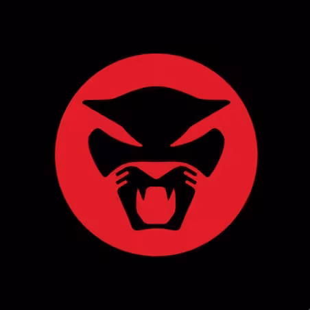 thundercat_album.jpg