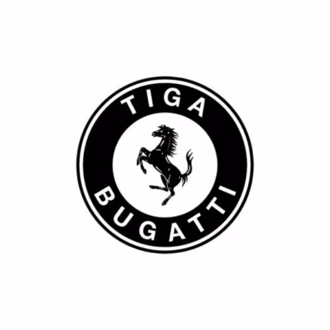 tiga-bugatti.jpg