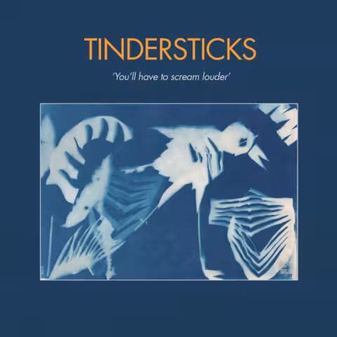 tindersticks-youll-have-to-scream-louder-front_cover_201207_1137521.jpg