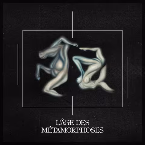 tptlp009artwork.jpg