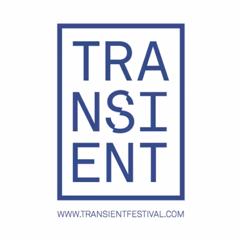 transient.png