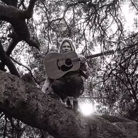 ty-segall-hello-hi.jpg