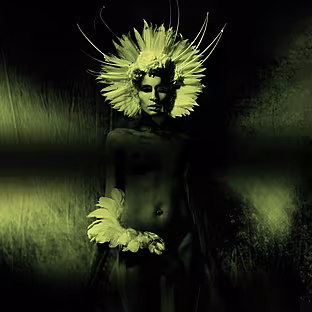unkle-where-did-the-night-fall-another-night-out-110851048.jpg