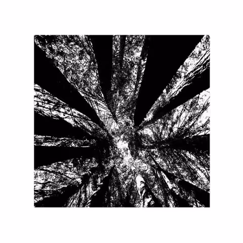 untitled_01.png