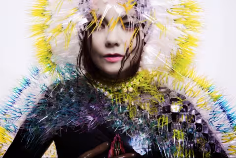 vulnicura.jpg
