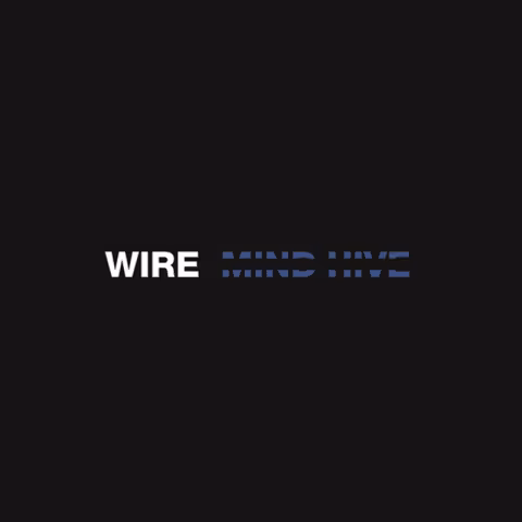 wire-mind-hive-vinyl.jpg