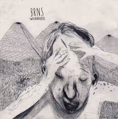 wounded_cover.jpg