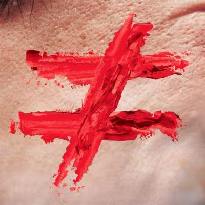 103627-sortie-du-premier-album-de-fauve-vieux-freres.jpg