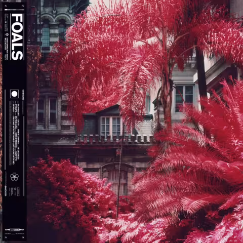 DIGITAL_PACKSHOT.jpg
