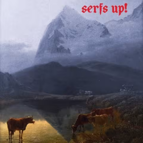 FWF_SerfsUp.jpg